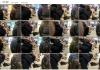 高姐相互交流各自的放松心得[05:06]