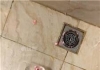 【小核桃可可】口嚼浓痰鼻涕马桶贱狗乱吃 261009-
