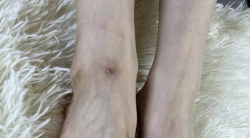 甲如 117p 1v 1.27g