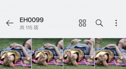 踏青公园街拍美女5套20 890mb